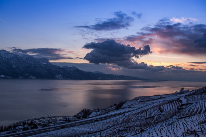 Fin de journée dans le Lavaux - 038